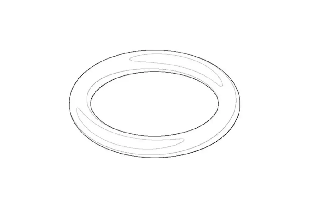 DORNBRACHT O-Ring ERSATZTEILE 091410507 18 x 3 mm, 09141050790 Galeriebild 1
